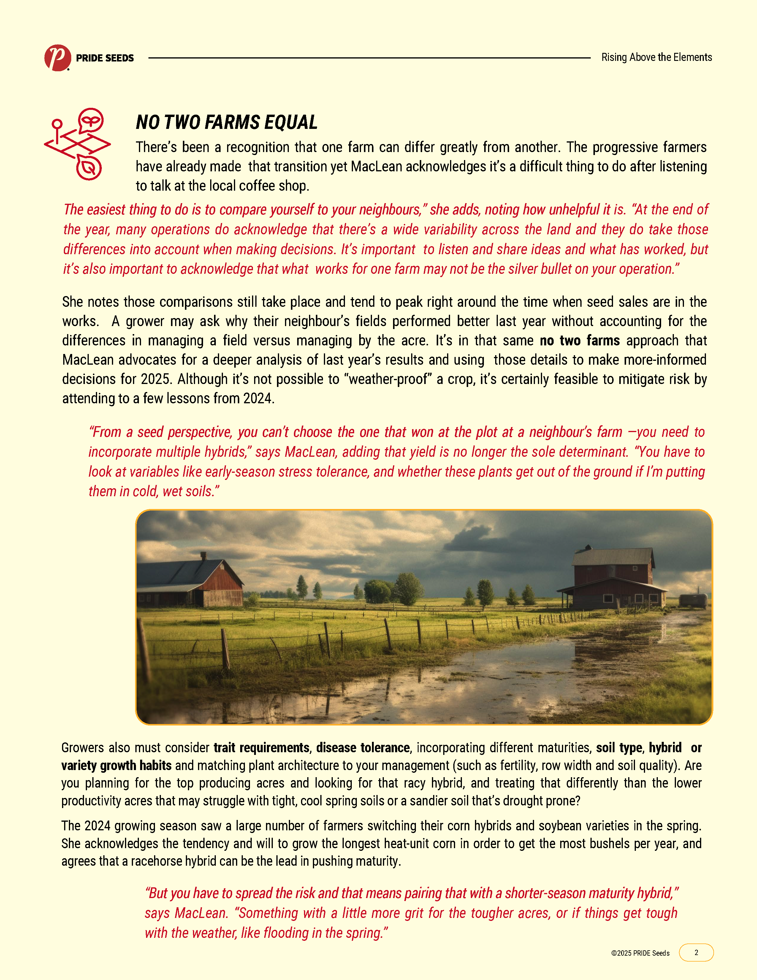 Rising Above the Elements - Carrie Maclean - Article 1 pg. 2