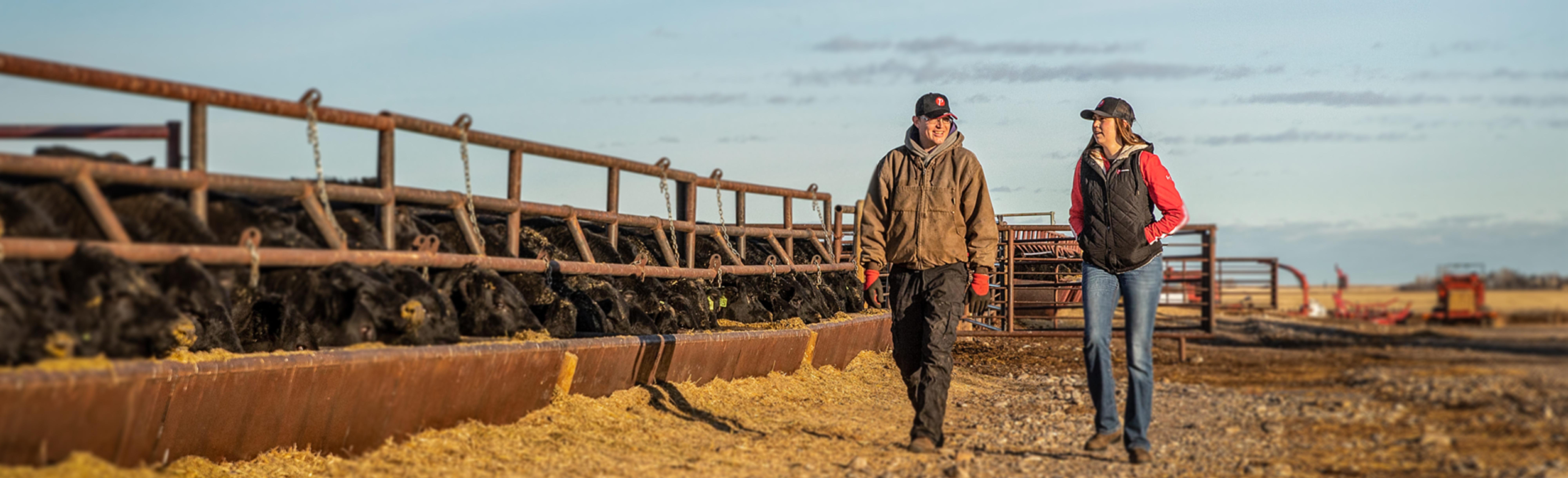 Partners in the Field Header photo_smaller-02