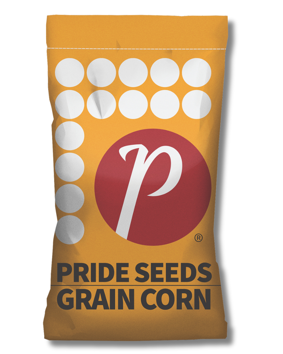 GRAIN CORN-19